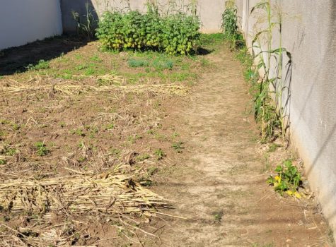 0ead6478-792e-4570-a170-edea13982bfe