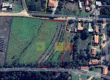 Captura-de-tela-2026-02-03-161441