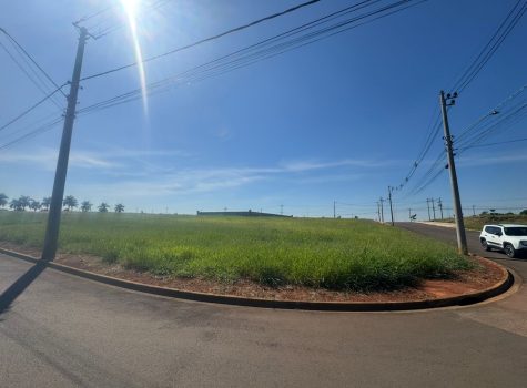 WhatsApp-Image-2025-05-08-at-13.46.44-1