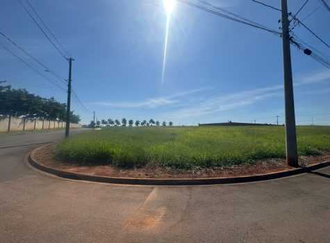 WhatsApp-Image-2025-05-08-at-13.46.44