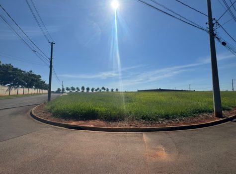 WhatsApp-Image-2025-05-08-at-13.46.45-1