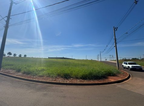 WhatsApp-Image-2025-05-08-at-13.46.45