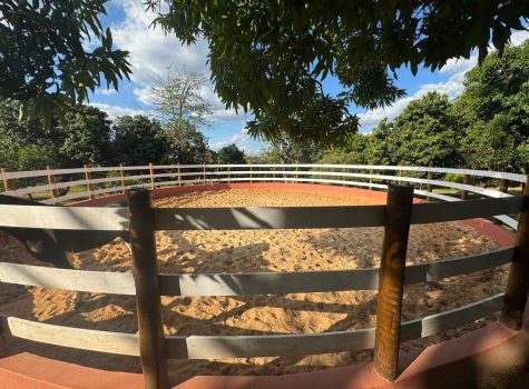 WhatsApp-Image-2025-05-19-at-13.54.53-1