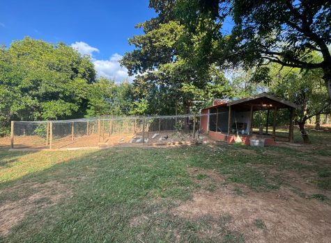 WhatsApp-Image-2025-05-19-at-13.54.53