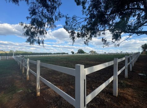 WhatsApp-Image-2025-05-19-at-13.56.38-1