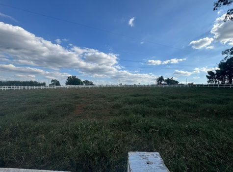 WhatsApp-Image-2025-05-19-at-13.56.38-4