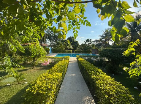 WhatsApp-Image-2025-05-26-at-08.35.10-3