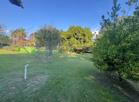 WhatsApp-Image-2025-05-26-at-08.35.12-1