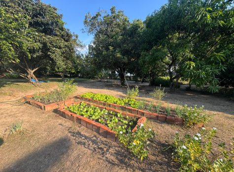 WhatsApp-Image-2025-05-26-at-08.35.12-2