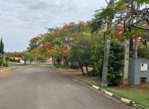 WhatsApp-Image-2025-06-11-at-13.38.44-3