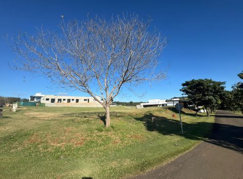 WhatsApp-Image-2025-06-12-at-13.37.34-1