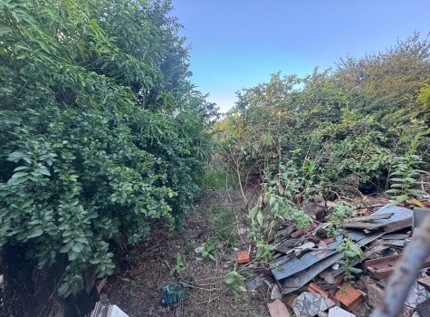 WhatsApp-Image-2025-06-13-at-09.01.09-5