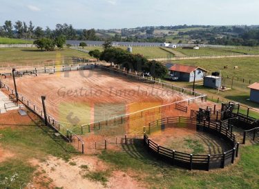 WhatsApp-Image-2025-07-25-at-09.37.50-3-1