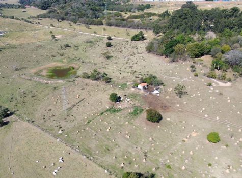 WhatsApp-Image-2025-08-07-at-15.53.11-1