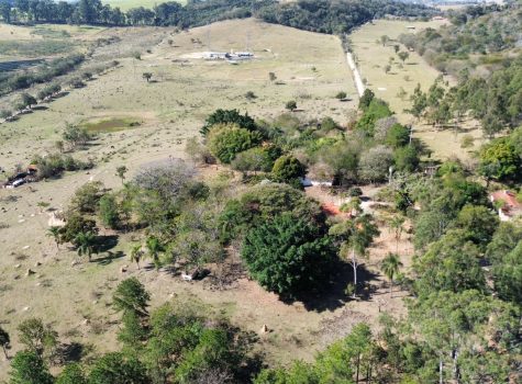 WhatsApp-Image-2025-08-07-at-15.53.11-3