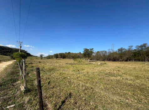 WhatsApp-Image-2025-08-07-at-15.53.32