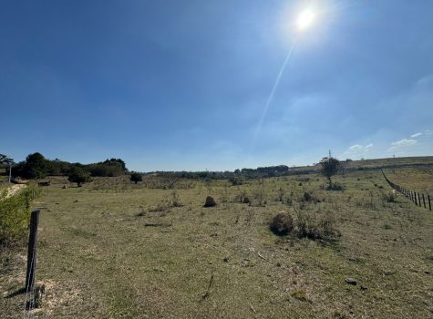 WhatsApp-Image-2025-08-07-at-15.53.33-2