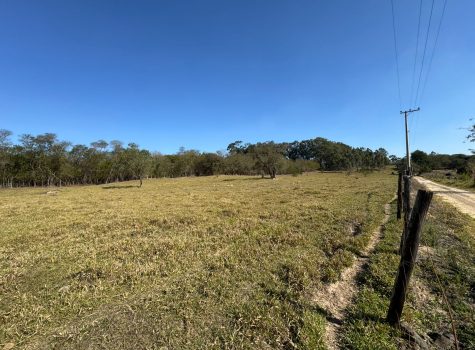 WhatsApp-Image-2025-08-07-at-15.53.33