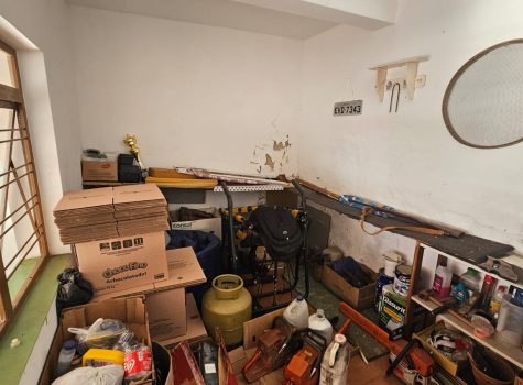 WhatsApp-Image-2025-08-11-at-14.23.07-1