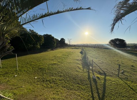 WhatsApp-Image-2025-08-26-at-09.55.56-1