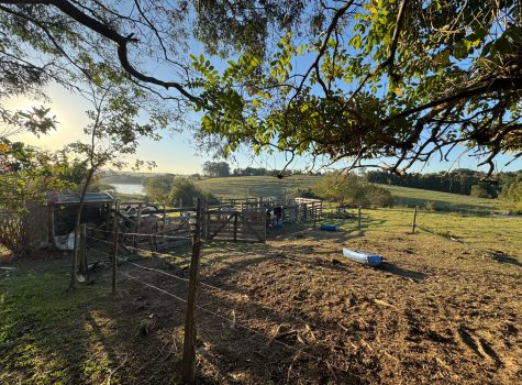 WhatsApp-Image-2025-08-26-at-09.55.58-1