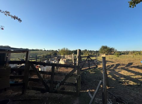 WhatsApp-Image-2025-08-26-at-09.55.58-2