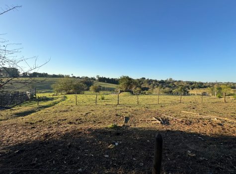 WhatsApp-Image-2025-08-26-at-09.55.58