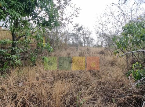 WhatsApp-Image-2025-10-18-at-09.00.36