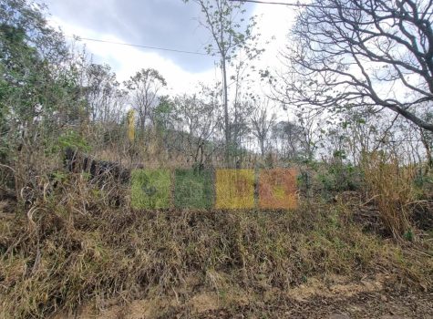 WhatsApp-Image-2025-10-18-at-09.00.37-1