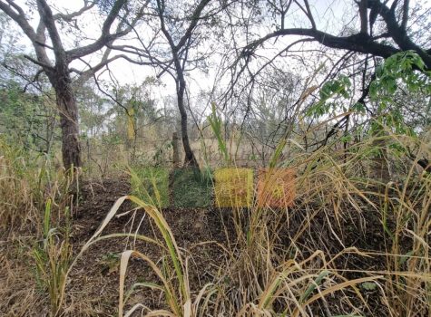 WhatsApp-Image-2025-10-18-at-09.00.37