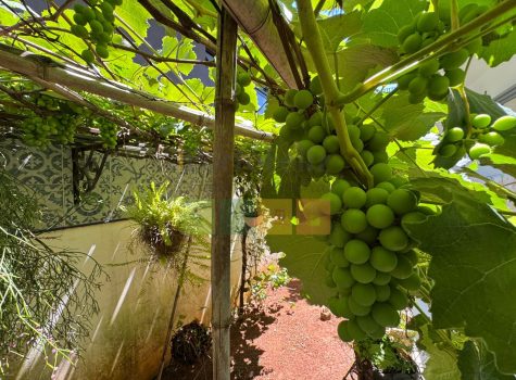 WhatsApp-Image-2025-10-27-at-08.40.39-3