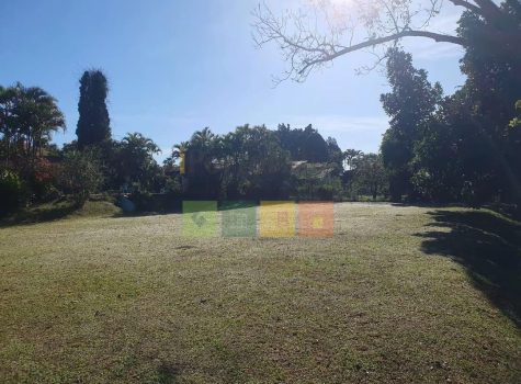 WhatsApp-Image-2025-11-19-at-13.18.24