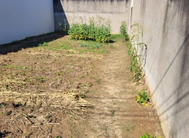 edfb96db-f4b4-497e-b92b-ad897e0a82b0-1