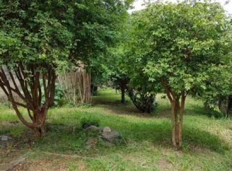 iportofeliz-imobiliaria-porto-feliz-casa-jardim-araritaguaba07