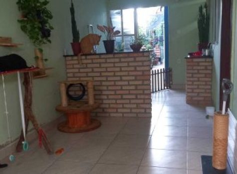 iportofeliz-imobiliaria-porto-feliz-casa-jose-diana14