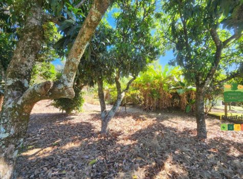 iportofeliz-imobiliaria-porto-feliz-chacara-aldeia-dos-laranjais24