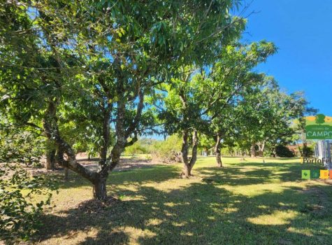 iportofeliz-imobiliaria-porto-feliz-chacara-aldeia-dos-laranjais27