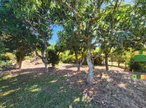 iportofeliz-imobiliaria-porto-feliz-chacara-aldeia-dos-laranjais30