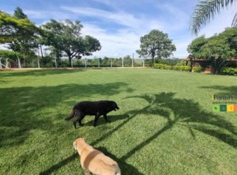 iportofeliz-imobiliaria-porto-feliz-chacara-avecuia-10