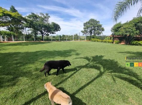 iportofeliz-imobiliaria-porto-feliz-chacara-avecuia30