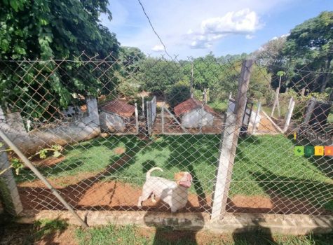 iportofeliz-imobiliaria-porto-feliz-chacara-avecuia54