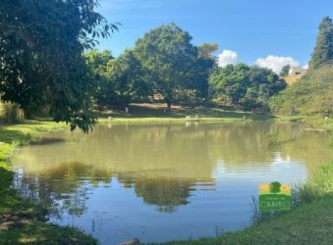 iportofeliz-imobiliaria-porto-feliz-chacara-bairro-gramadinho29