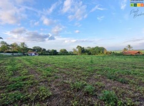 iportofeliz-imobiliaria-porto-feliz-chacara-bom-retiro02-2