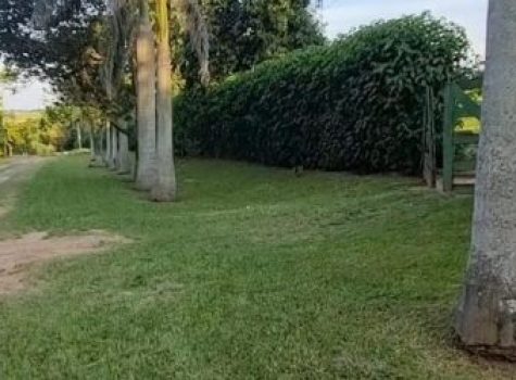 iportofeliz-imobiliaria-porto-feliz-chacara-bom-retiro06-2