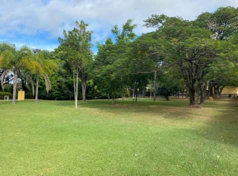 iportofeliz-imobiliaria-porto-feliz-chacara-castelo-branco116