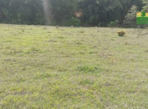 iportofeliz-imobiliaria-porto-feliz-chacara-colonia-rodrigo-e-silva-03