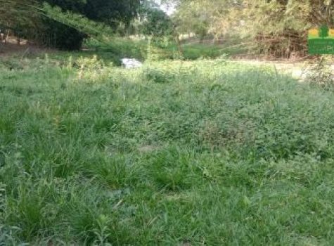 iportofeliz-imobiliaria-porto-feliz-chacara-colonia-rodrigo-e-silva-07