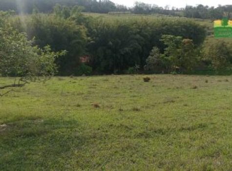 iportofeliz-imobiliaria-porto-feliz-chacara-colonia-rodrigo-e-silva-08