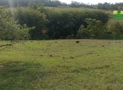 iportofeliz-imobiliaria-porto-feliz-chacara-colonia-rodrigo-e-silva-09