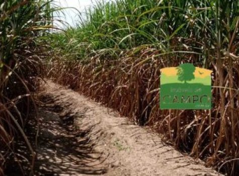 iportofeliz-imobiliaria-porto-feliz-fazenda-em-piracicaba01